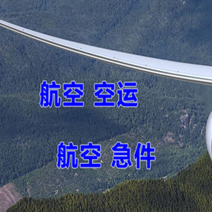 高崎机场物流快递-选东方航空和上海航空