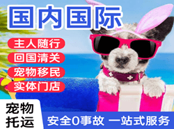 高崎机场物流国际宠物托运 【国